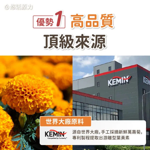 【悠活原力】全新升級 金盞花萃取葉黃素+紅藻萃取蝦紅素x3(30mg/粒 30粒/盒 共90粒 升級版)