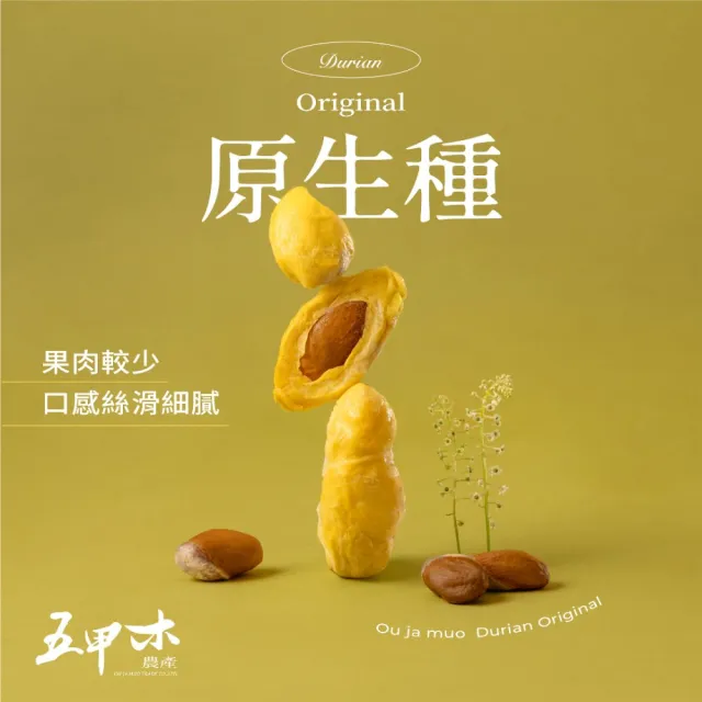 【五甲木】官方直營-(箱購組)泰國原生種榴槤12包(300g/包)冷凍榴槤
