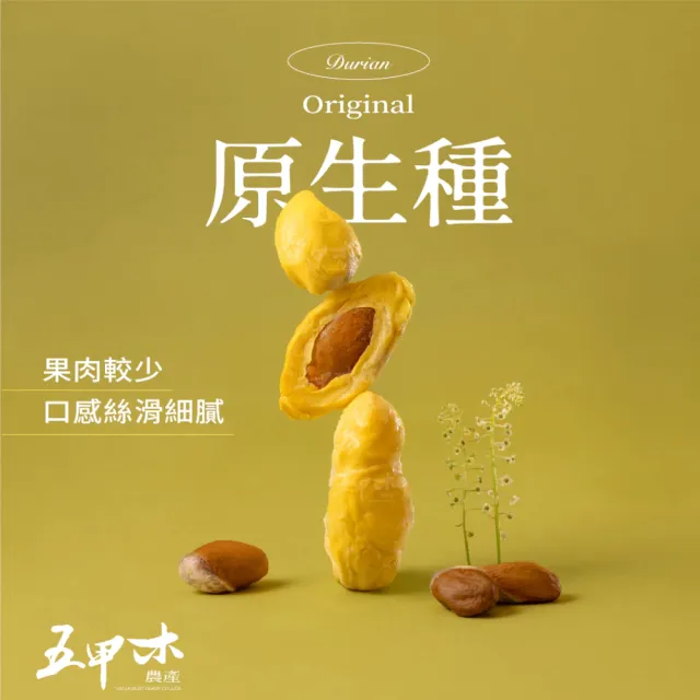 【五甲木】官方直營-泰國原生種榴槤8包(300g/包)冷凍榴槤