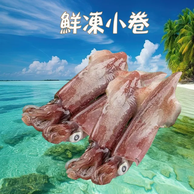 【海之醇】台灣捕撈新鮮小卷-6盒組(300g/盒/2-4)