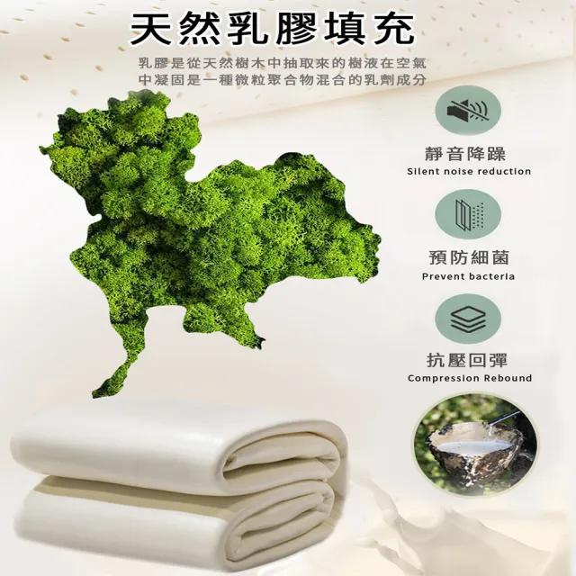 【寢室安居】冰絲涼感乳膠涼墊-贈同款枕套2入(雙人/可水洗/涼蓆組 涼感墊 冰絲蓆)