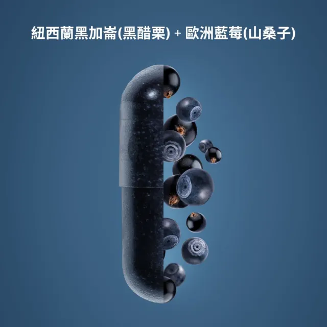 【Isbjorn 北極熊保健專家】頂級深海魚油膠囊一瓶+Medox藍莓花青素膠囊一盒(保健禮盒120顆/瓶+30顆/盒)