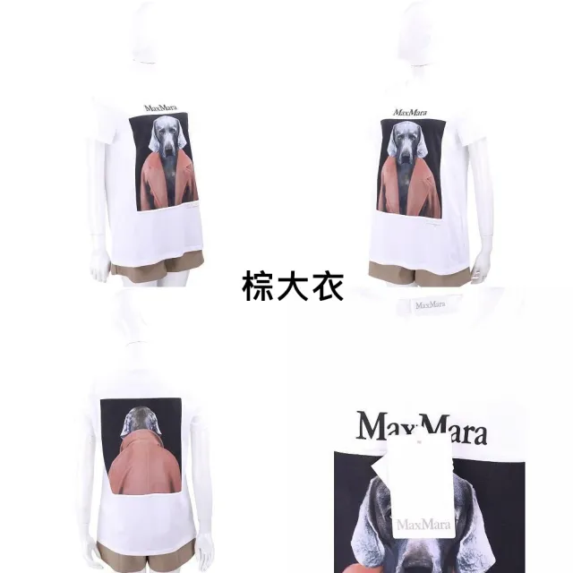 【MaxMara】CIPRIA 威瑪臘犬TEE T恤-3色可選(CIPRIA威瑪臘犬T 上衣 短袖 棉T 狗狗)