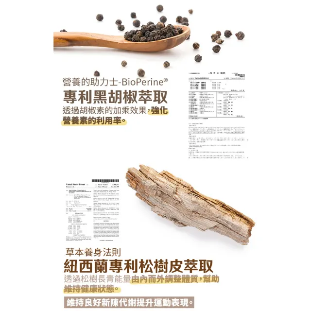 【大良造】古寶生醫 固立樂非變性二型膠原蛋白