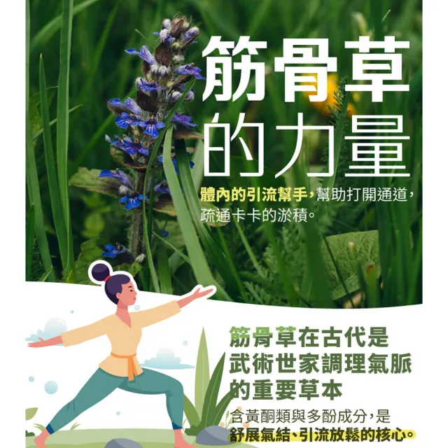 【大良造】古寶生醫 葡萄糖胺筋骨草萃取果凍條(25入)