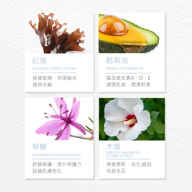 【JS 婕洛妮絲】灰熊厲害瞬白泡泡面膜150ml（淨膚調理）