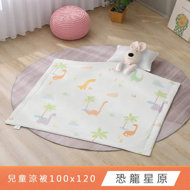 【HongYew 鴻宇】冰紗兒童涼被 極致冰心涼感被-多款任選(冰絲被 冰冰被 午睡被 幼兒園被 兒童被)