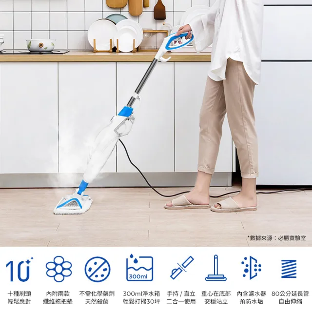 【Bissell】必勝 Steam Mop 多功能二合一蒸氣拖把(3004T)