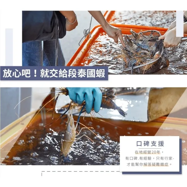 【段泰國蝦】屏東鮮凍泰國蝦 精選A級老饕大蝦600g(約9-10隻 公母混合)