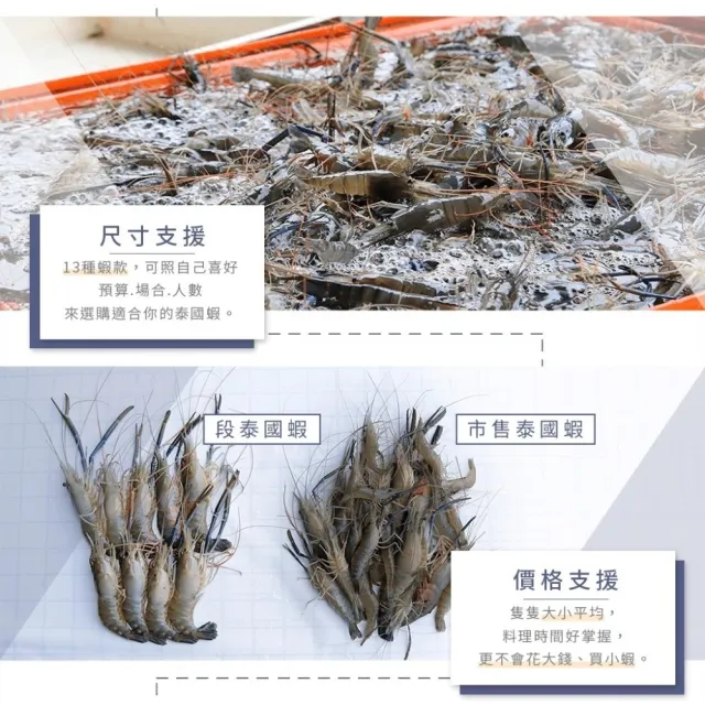 【段泰國蝦】屏東鮮凍泰國蝦 精選A級老饕大蝦600g(約9-10隻 公母混合)