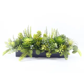 【HUGO DECO 榆果傢飾】多肉植物組合香氛植栽  免運專人配送限雙北市(開幕/擬真花/佈置/新居落成/送禮)