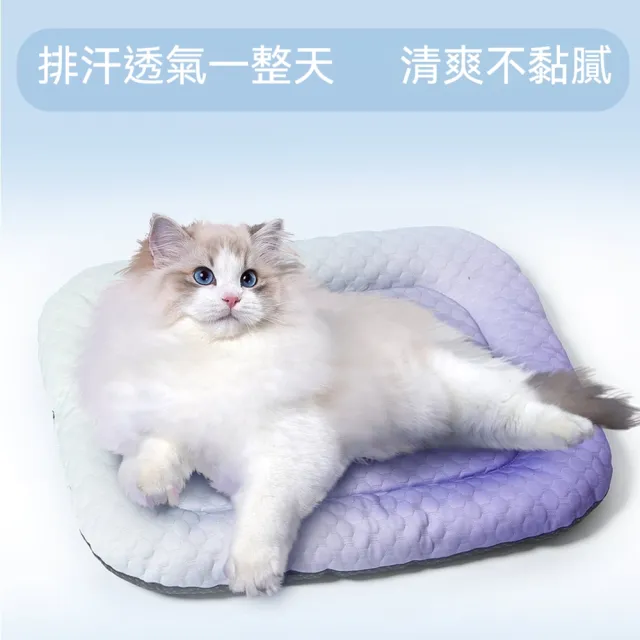 【Quality 聚家】寵物冰墊 冰豆豆墊子 貓狗窩 3D涼感墊子 透氣狗墊 夏季冰墊 散熱墊 可水洗 60*80CM