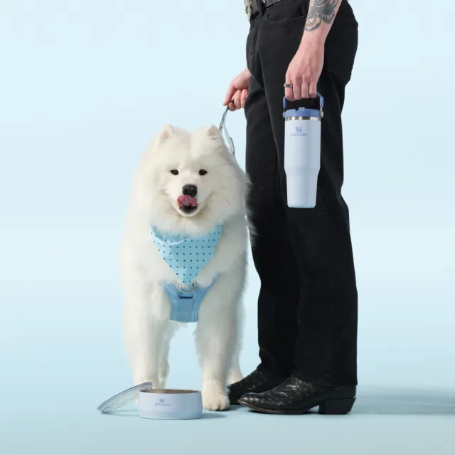 【STANLEY】官方直營 經典系列 IceFlow 手提吸管杯2.0 0.88L (西部風格色系)
