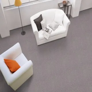 【特力屋】天井方塊/單片50x50cm淺灰