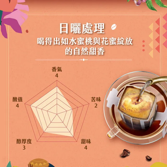 【NESCAFE 雀巢咖啡】金牌綜合濾掛咖啡任選(堅果花香/耶加雪菲/陽光柑橘/冰萃)