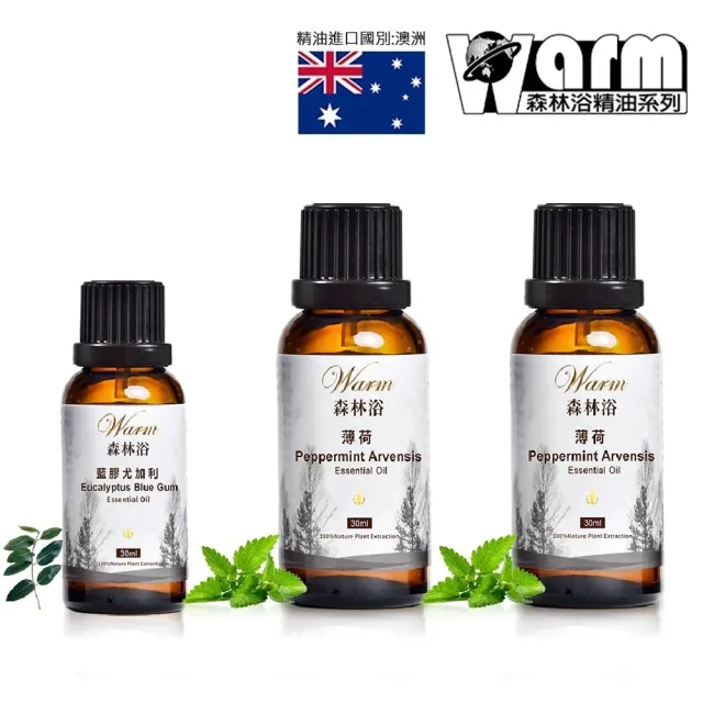 【Warm】森林浴系列單方純精油-薄荷100mlx2+藍膠尤加利30ml(草本清香+清新通透)