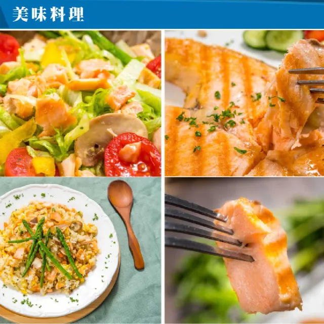 【鮮綠生活】智利頂級鮭魚切片 共12包(220g±10%/包)