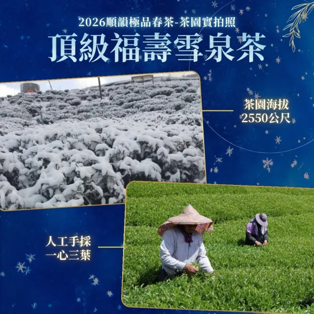 【順韻茶葉】頂級福壽雪泉茶三斤組75g x 24包(共3斤)