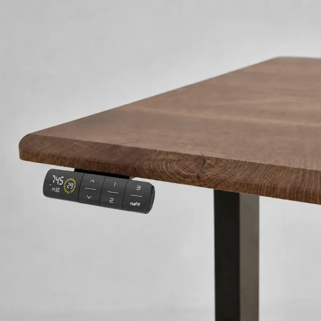 【FUNTE】Prime 4 旗艦款電動升降桌/二節式+ 120x60cm 四方桌板 八色可選(辦公桌 電腦桌 工作桌)