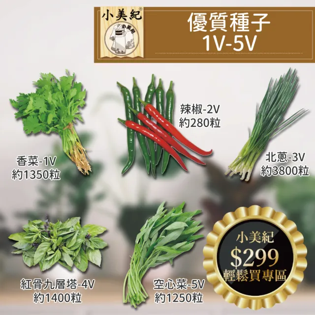 【小美紀】高優質 種子(香菜 辣椒 北蒽 紅骨九層塔 空心菜 南瓜 大陸妹 蔬菜 盆栽 種子)