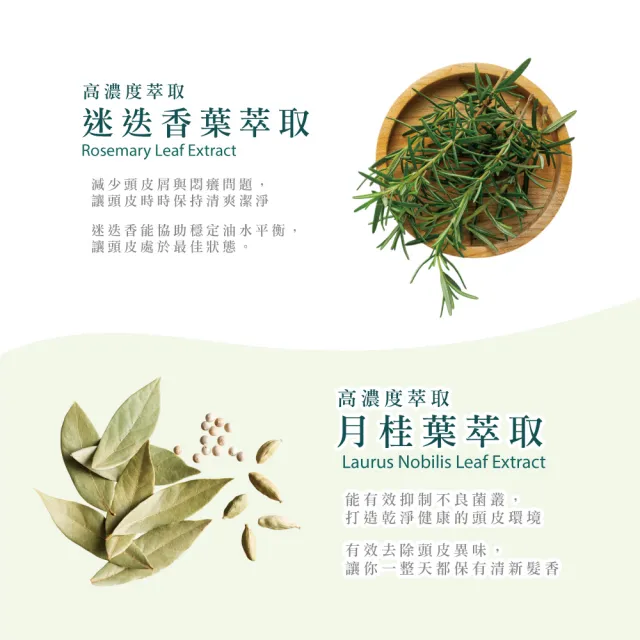 即期品【Moraz 茉娜姿】草本舒活洗髮露250ml-正常/油性髮(官方直營以色列原裝進口)