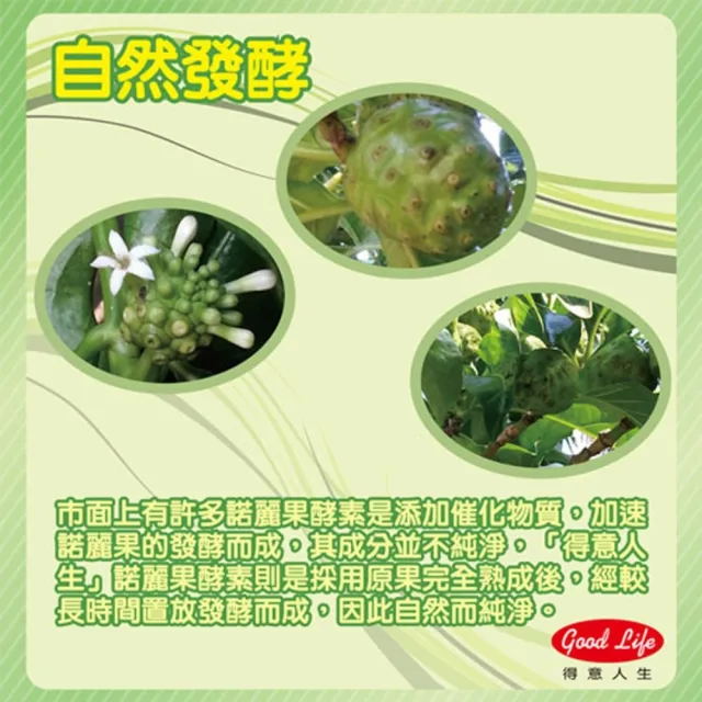 【得意人生】台灣嚴選_大溪地諾麗果100%酵素飲 3瓶組(600ml/瓶 酵素)