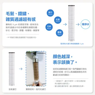 【CAESAR 凱撒衛浴】銀色極淨純水蓮蓬頭 1 機 3 芯(入門體驗組)