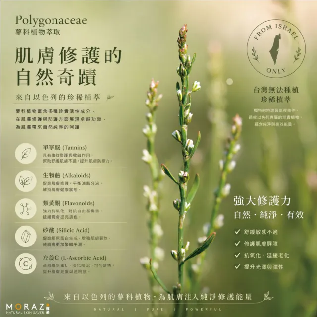 【Moraz 茉娜姿】Moraz 茉娜姿 潤澤修護手霜100ml(專業版PROF)