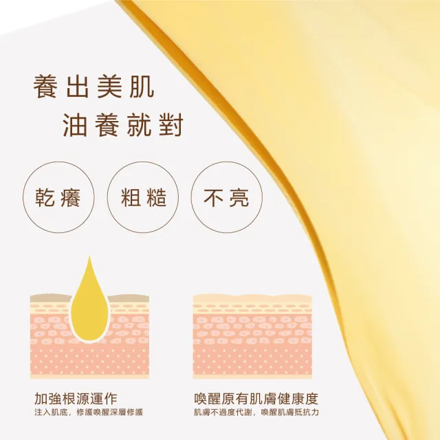 【Moraz 茉娜姿】Moraz 茉娜姿 全效肌膚修護精華油14ml(專業版PROF)