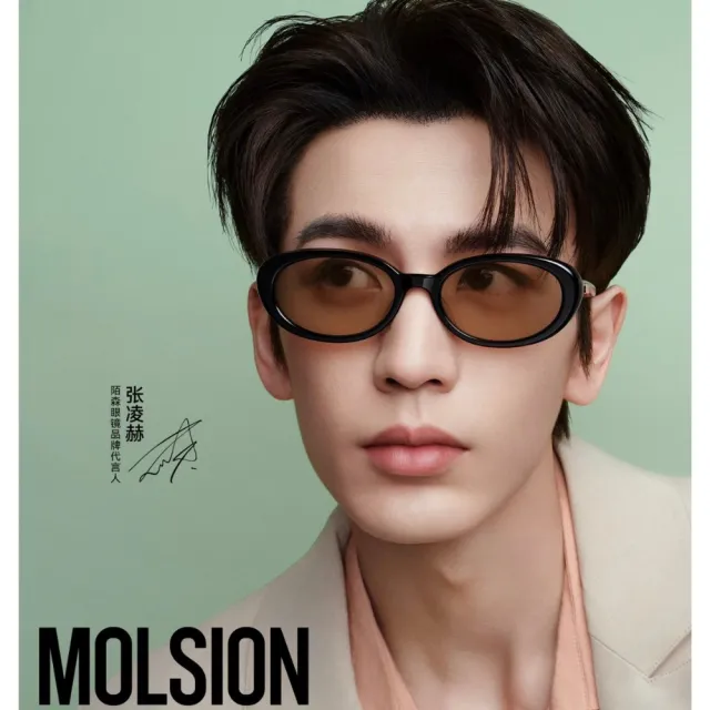 【MOLSION 陌森】張凌赫同款 橢圓膠框太陽眼鏡(MM3010-A16)
