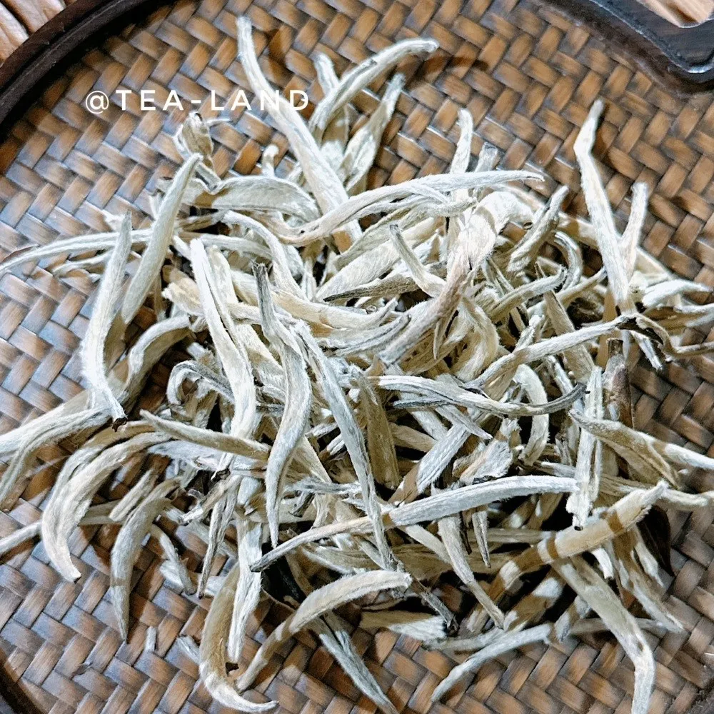 【茶韻】來自雲南皇家古樹茶園-困鹿山大白芽-60克/鐵罐裝-無農藥殘留-普洱茶 (白茶/附提袋)