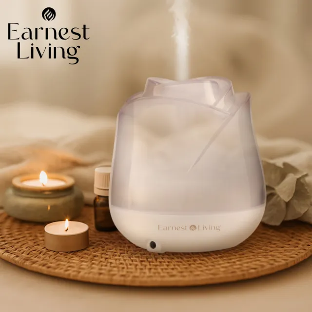 【Earnest Living】日日玫瑰香氛水氧機 USB可定時水氧機︱家用辦公小空間適合 三段定時 七色氛圍燈