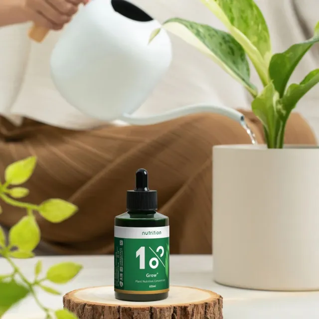 【1%植物關鍵】1%植物營養團購組(全年份)(室內植物肥料 盆栽液肥 多肉養分 居家植栽營養劑 施肥)