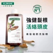 【KLORANE 蔻蘿蘭】官方直營 任選3入植萃洗髮精400ml(養髮/控油/護色/修護/澎鬆/涼感/舒敏/淨透/保濕/抗屑)