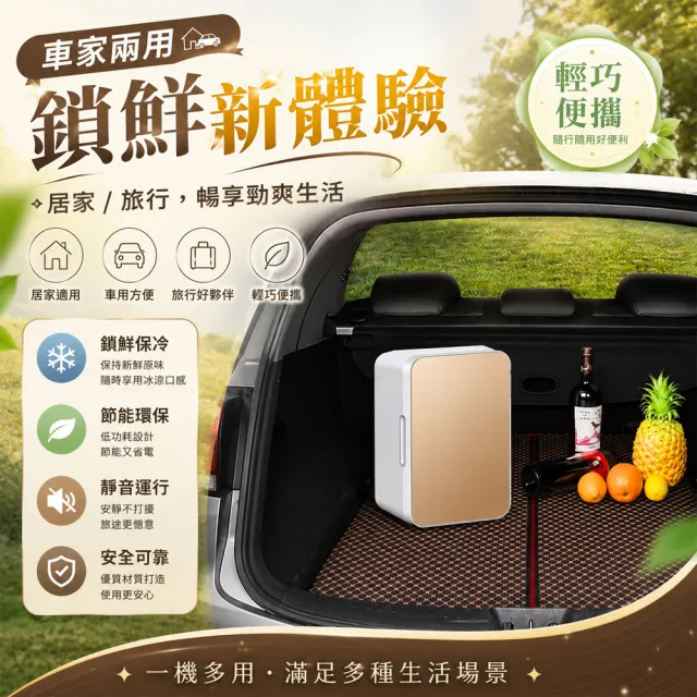 【Felsted 菲仕德】車載小冰箱 冷藏小冰箱 小型儲酒櫃 美妝小冰箱 冷暖小冰箱 宿舍/辦公室/車載/家用小冰箱