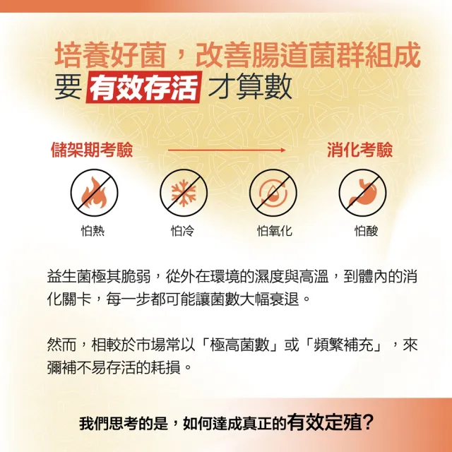 【RACE ON】鋭速 標沛益生菌 60顆/瓶(國際運動標準Ｘ雙重防護配方 2倍存活力* 有效定殖 一天1顆16元)