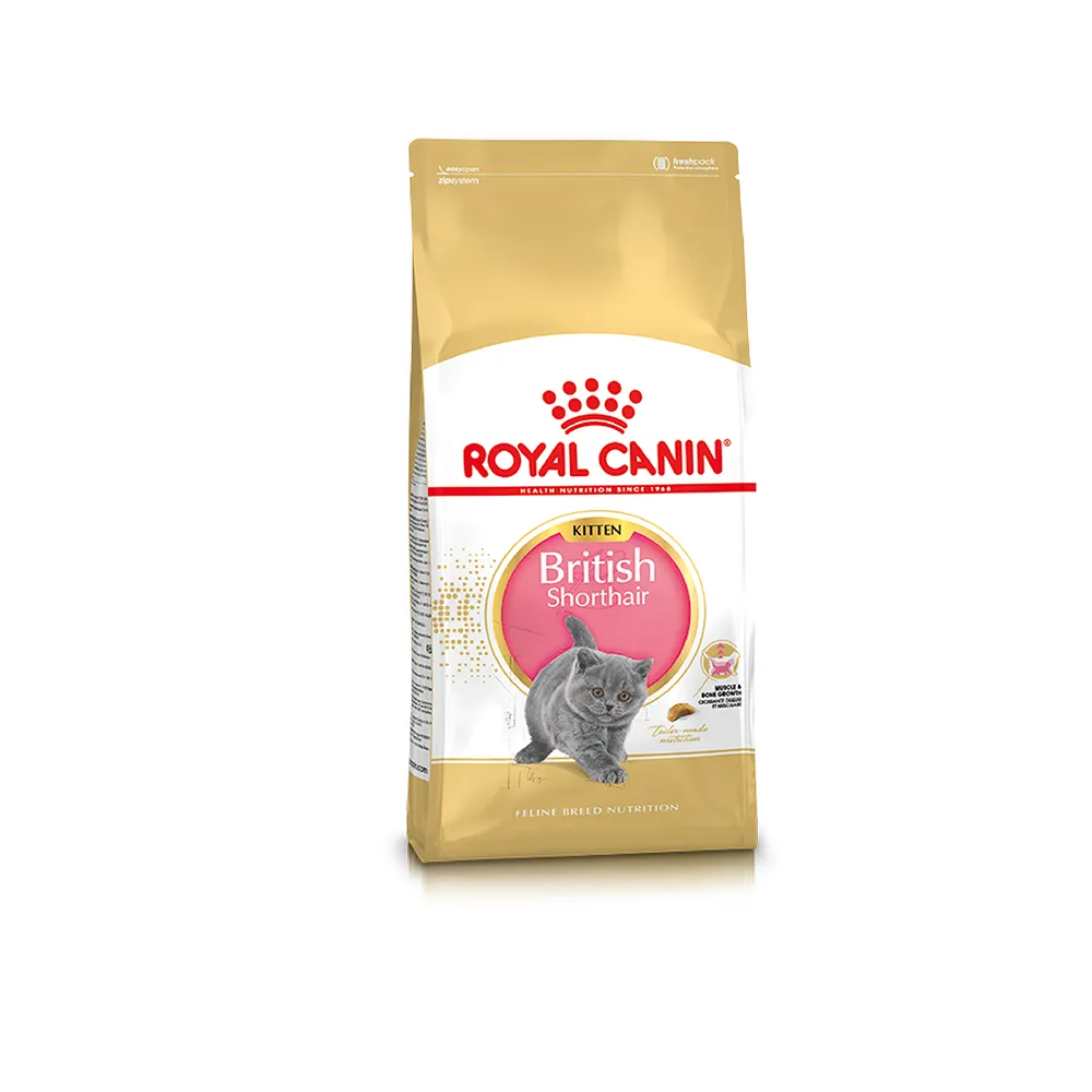 【ROYAL 法國皇家】英國短毛幼貓專用飼料 BSK38 10KG(貓乾糧 貓飼料)