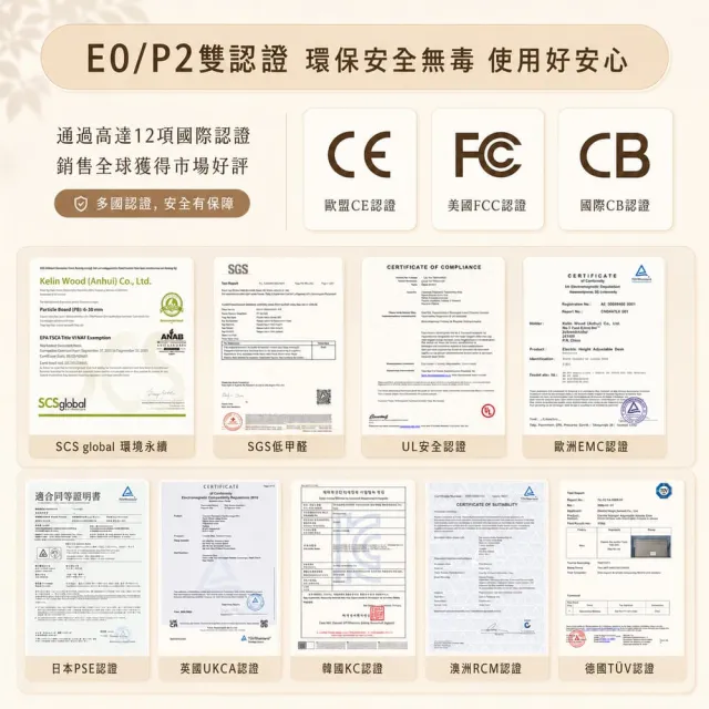 【Loctek 樂歌】ET200 二節式電動升降桌 120*60 原木色桌面抽屜款(免費安裝/書桌/工作桌/辦公桌/電腦桌)