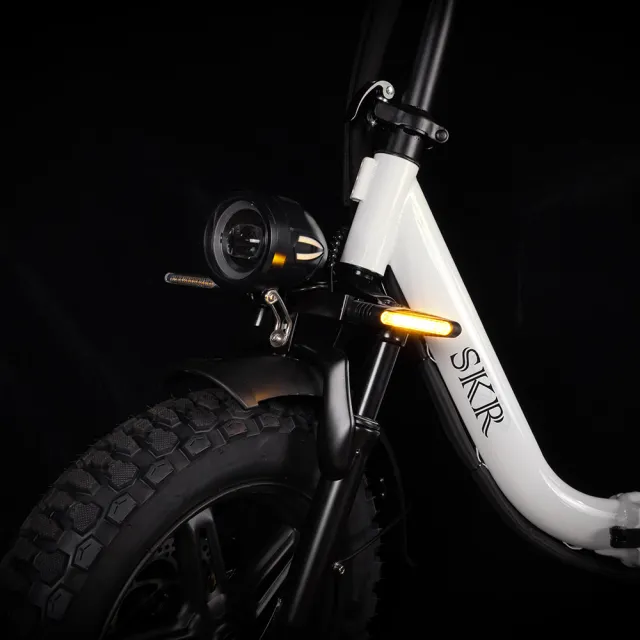 【SKR】16吋有遙控可鎖車免駕照可載人X6 小旋風特仕版 電動輔助自行車 電動腳踏車(電輔車 16吋折疊腳踏車)