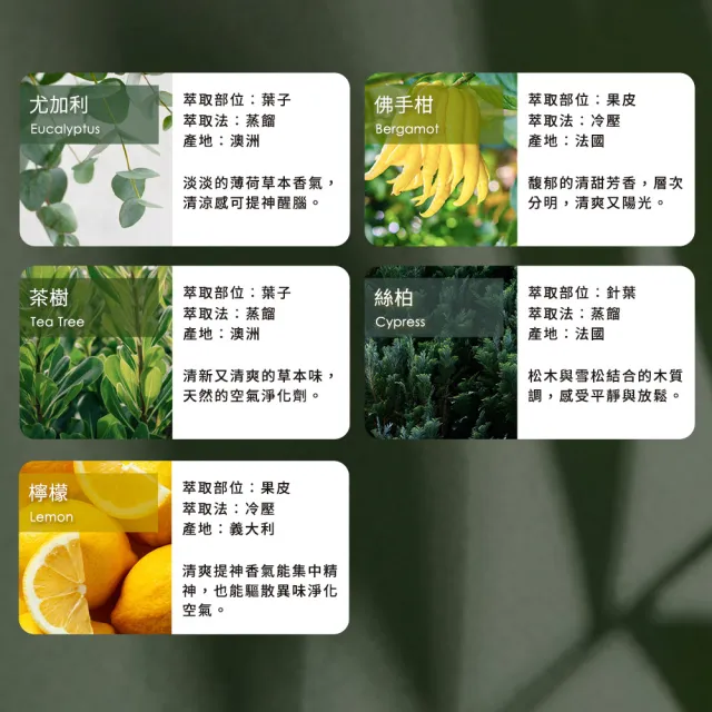 【mo select】100%植物精油果香/草本/花木調 10ml 3入超值組(mo選/多款任選/精油/香氛精油/水氧機精油)