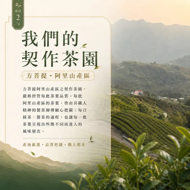 【Funbodhi 方菩提】玉樹臨風高山烏龍茶/高山茶75gx24包(共3斤;烏龍茶/阿里山/春茶)