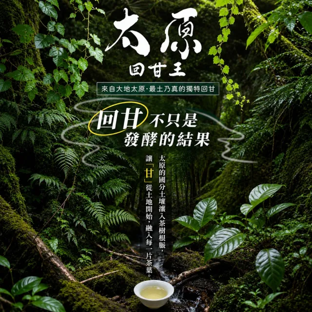 【茶好玩】太原回甘王 - 喉韻、回甘十足