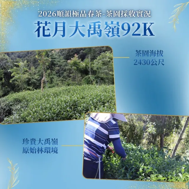 【順韻茶葉】花月大禹嶺92K一斤組75g x 8包(共1斤)