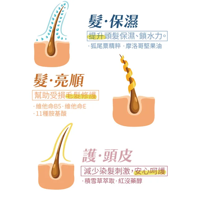【古寶無患子】2盒入 草本護髮染髮霜 3色任選(榛果厚奶/亞麻茶棕/栗香摩卡)