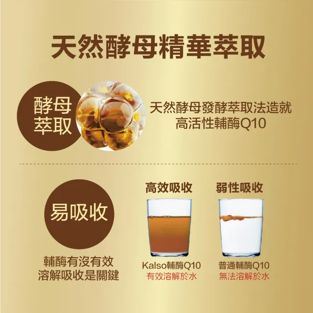 【Kalso 科德司】輔酶Q10膠囊 300粒(Q10 30毫克/共300日份 代謝循環 酉每)