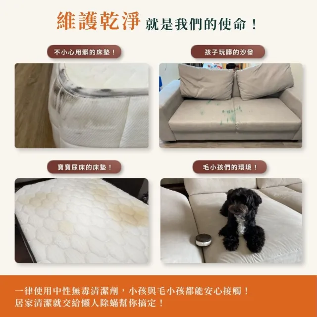 懶人除蟎｜水洗標準雙人床（單面）★贈除蟎+防汙鍍膜