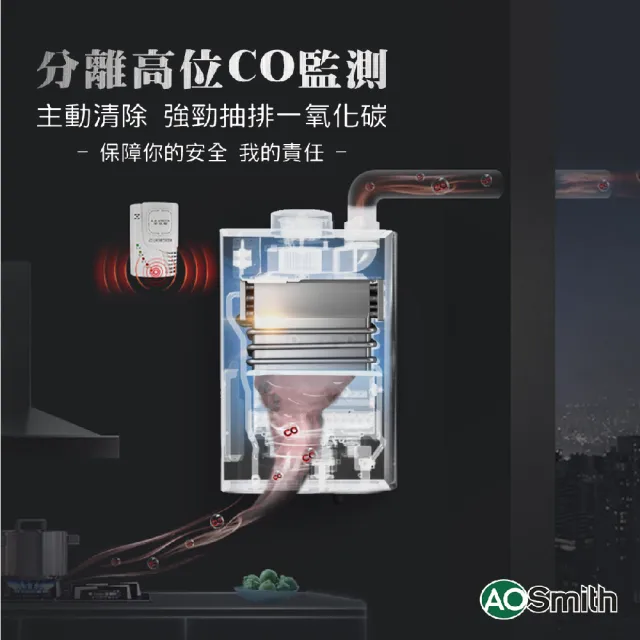 【A.O.Smith】AO史密斯 不鏽鋼瓦斯熱水器13L 防CO警報(JSQ26-ST13T NG1/FE式 含基本安裝 適用天然氣)