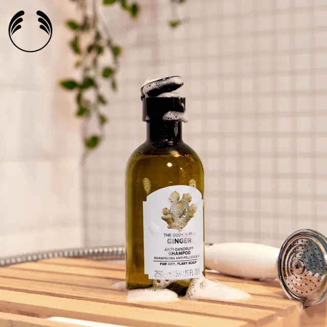 【THE BODY SHOP 美體小舖】薑根頭皮調理洗髮組(洗髮精400ML+頭皮精華50ML)