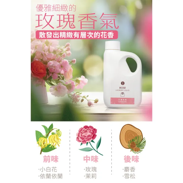 【古寶無患子】1+3入組 三倍濃縮洗衣精-千層玫瑰(罐裝1000mlx1+補充包1000mlx3)