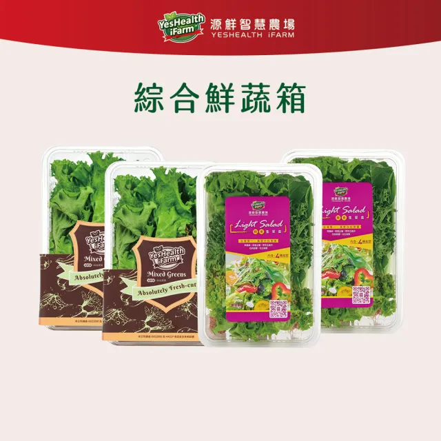 【源鮮智慧農場】綜合鮮蔬箱180g x 4盒 (生菜｜生菜沙拉｜水耕生菜｜生菜箱)